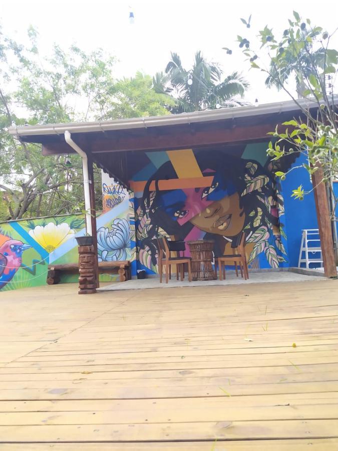 Iup House Hostel Blumenau Dış mekan fotoğraf